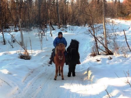 Alys on Raudi Ponying Tinni